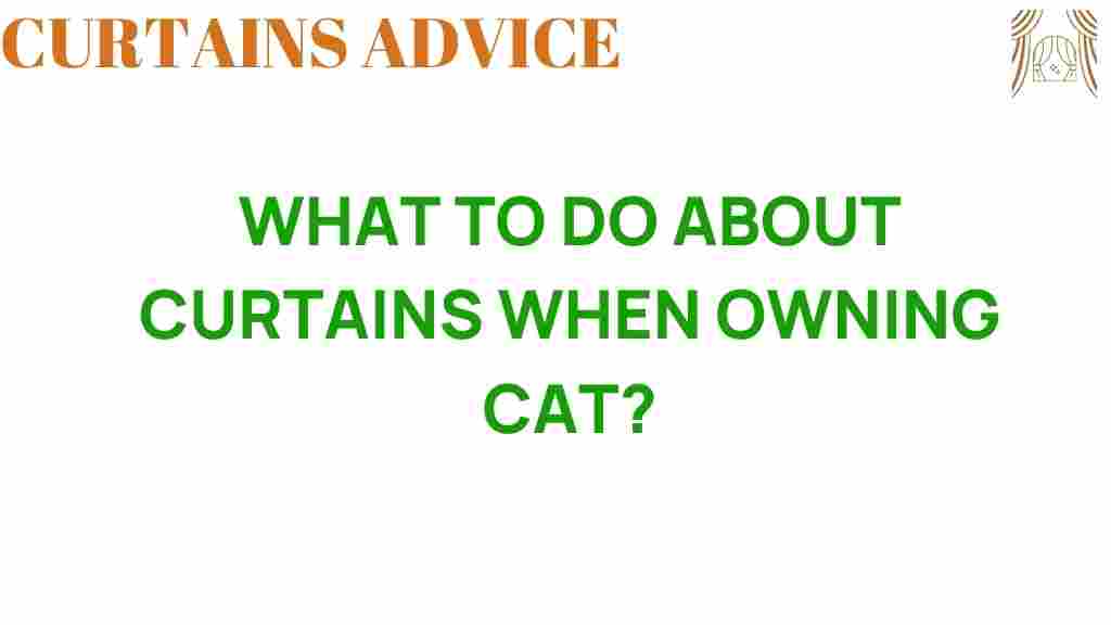 curtains-cat-ownership-guide