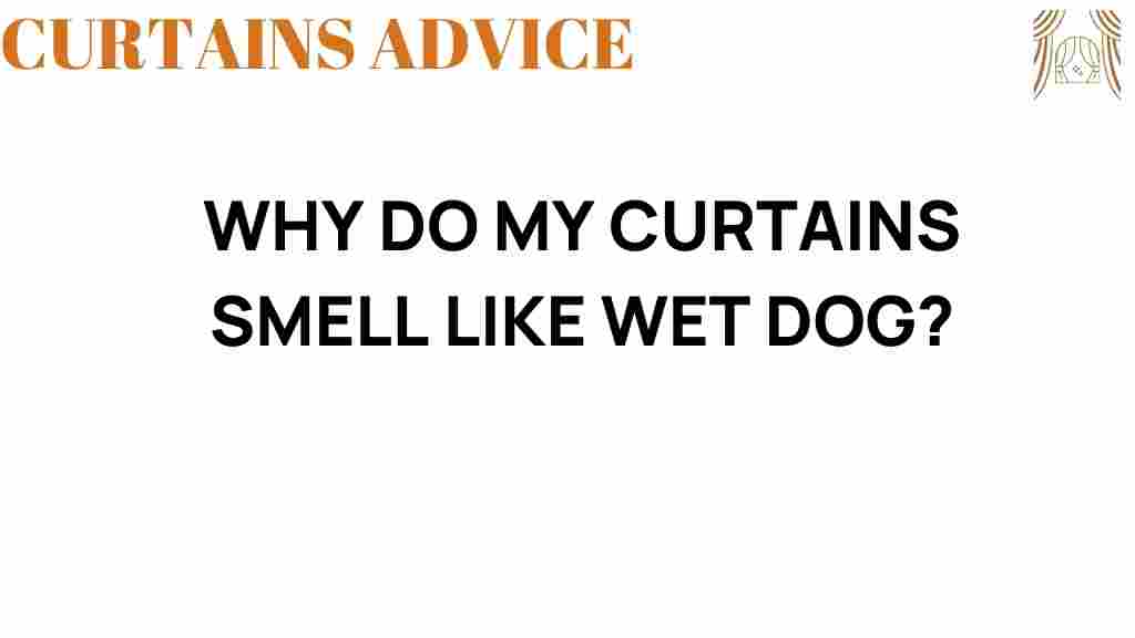 curtains-smell-like-wet-dog