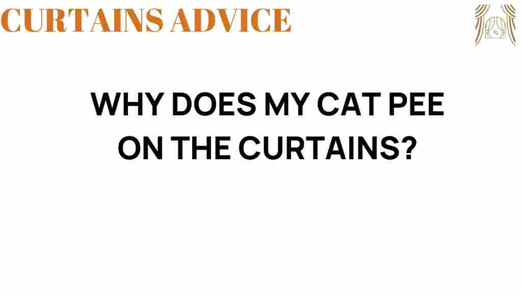 why-does-my-cat-pee-on-the-curtains
